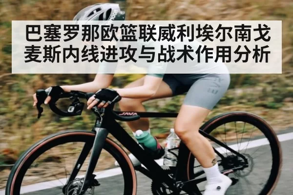 巴塞罗那欧篮联威利埃尔南戈麦斯内线进攻与战术作用分析 | dbdianjing